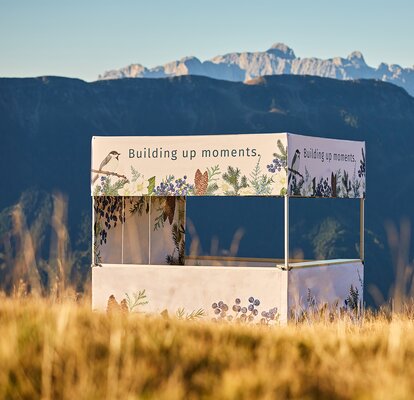 Flat-roof canopy tent in a field with mountains in the background