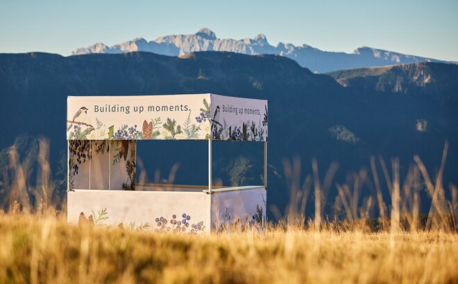 Flat-roof canopy tent in a field with mountains in the background