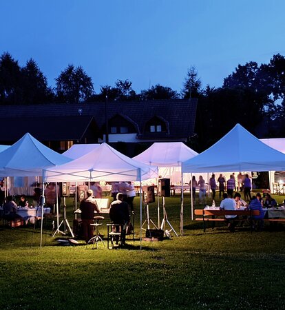 Diverse misure di gazebo pieghevoli bianchi per feste in giardino. Sotto i gazebo pieghevoli ci sono delle persono che festeggiano.