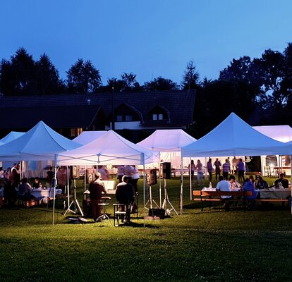 Diverse misure di gazebo pieghevoli bianchi per feste in giardino. Sotto i gazebo pieghevoli ci sono delle persono che festeggiano.