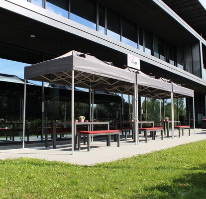 Gazebo 3x2 m grigio con tetto per fumatori 