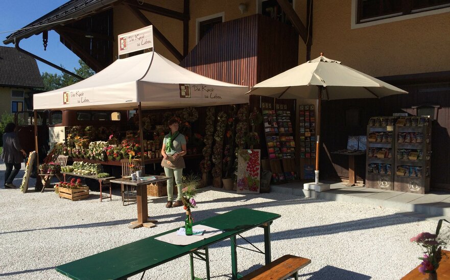 Gazebo 4,5x3m ecru con struttura marrone personalizzato con banner e stampa per vendita fiori all'aperto.