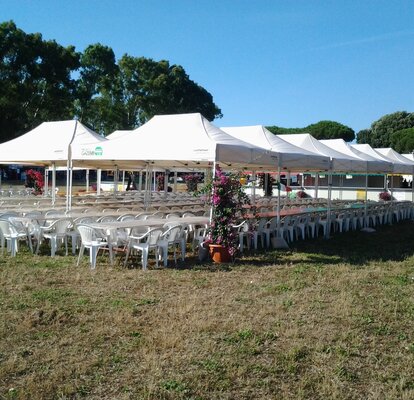 Set di gazebo pieghevoli 4,5x3m ecru in sistema modulare per grande ricevimento. 