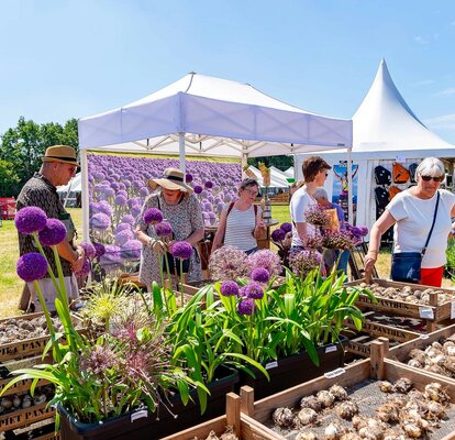 Sulla foto si vede un gazebo pieghevole bianco di 3x2 m con una parete laterale completamente stampata. Sulla parete laterale sono stampati molti fiori viola. In primo piano si vedono i visitatori del mercato.