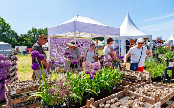 Auf einem Markt ist ein weißer Faltpavillon 3x2 m zu sehen, der eine vollflächig bedruckte Seitenwand hat. Auf der Seitenwand sind viele violette Blumen abgedruckt. Im Vordergrund sind Besucher des Marktes zu sehen.