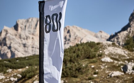 A white and black peak flag on a canopy tent printed with the number 803.